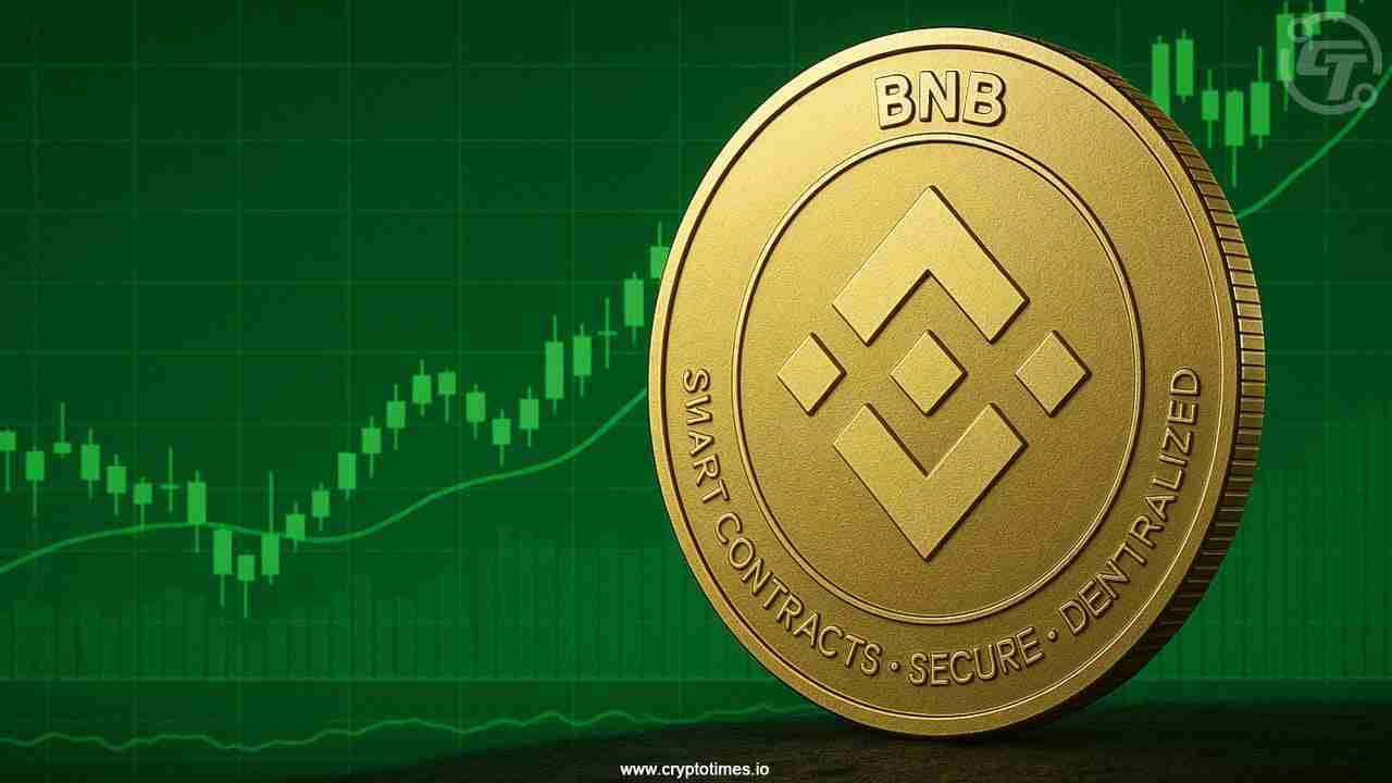 安币下载安装教程步骤